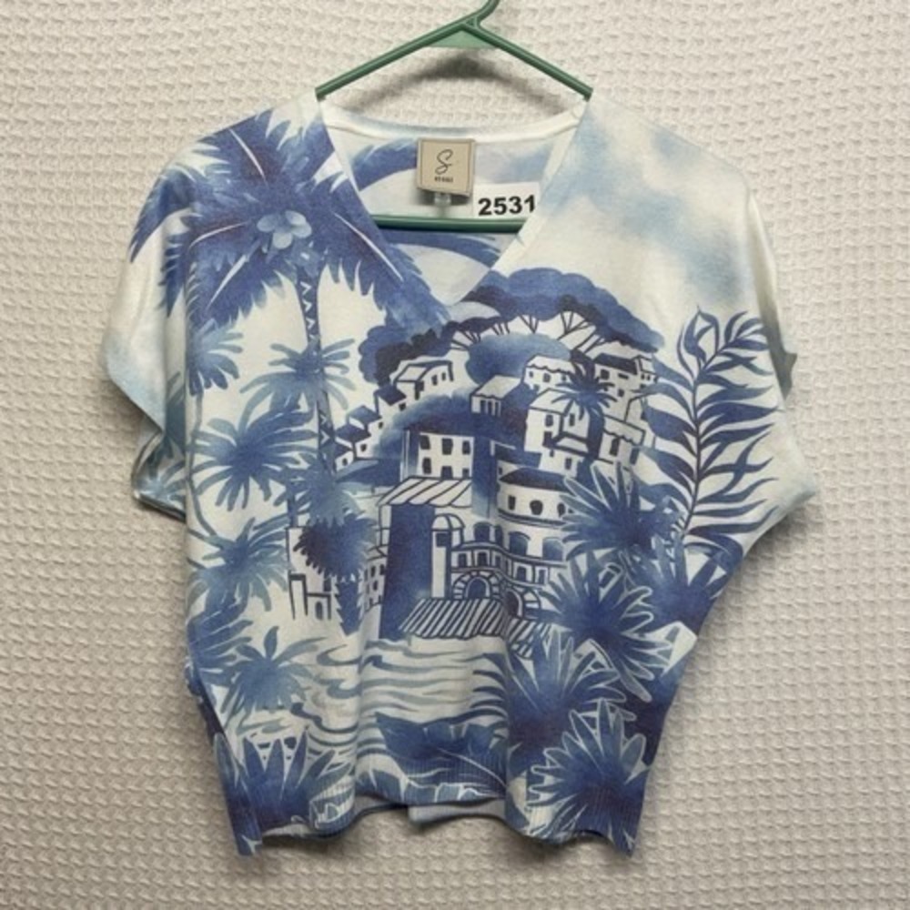 NWOT Sioni Blue/White Tropical Village Print Coastal V-Neck Sweater Women M Chin